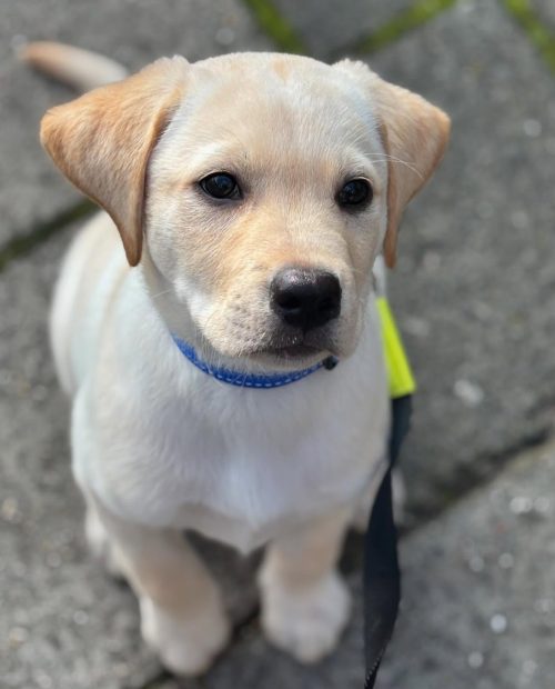 Fred
