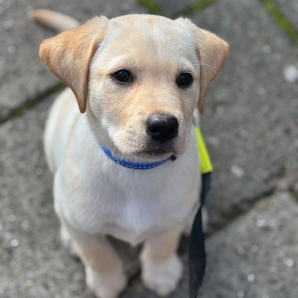 Fred