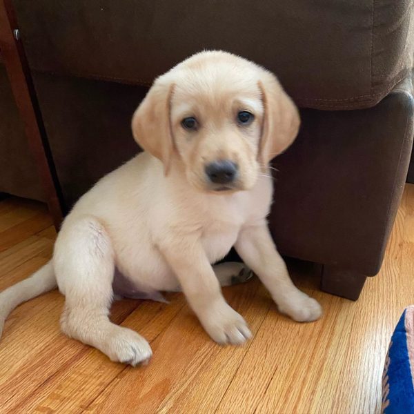 Milo