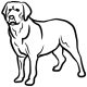 logo labrador